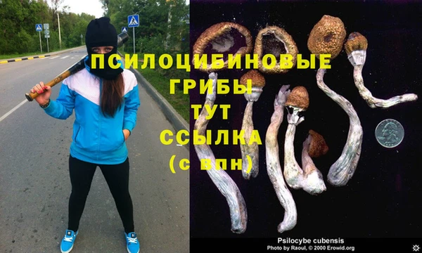 мдпв Алзамай