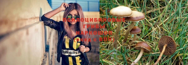 ALPHA-PVP Алексин