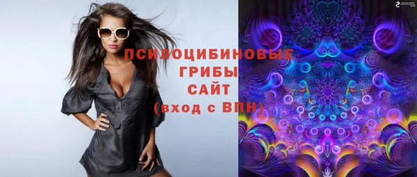ешки Алексеевка