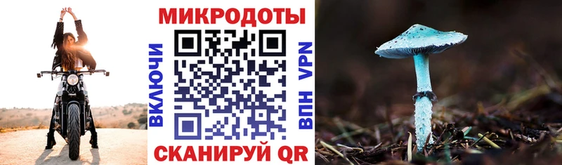 Купить где  Богородицк  Галлюциногенные грибы GOLDEN TEACHER 